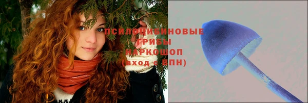 гидра Лабытнанги