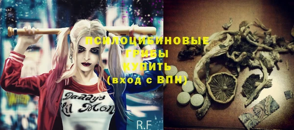 гидра Лабытнанги