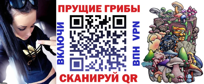 наркошоп  Тбилисская  Псилоцибиновые грибы Psilocybine cubensis 